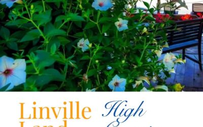 Buying a Home in Newland, Linville, Banner Elk & the North Carolina High Country