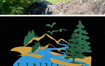 Why Linville Land Harbor Homes Are a Smart Investment in 2026