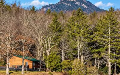 Where Is Linville Land Harbor? A Local Guide to Newland, NC and the High Country